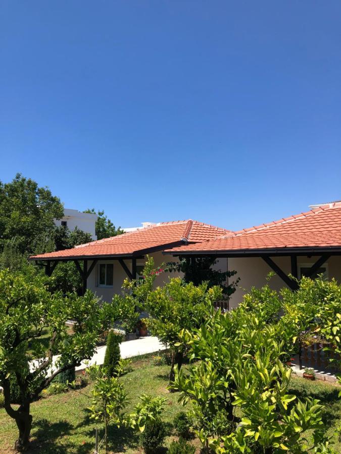 Stanovic Casa vacanze *